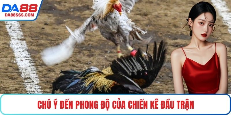 Chú ý đến phong độ của chiến kê đầu trận