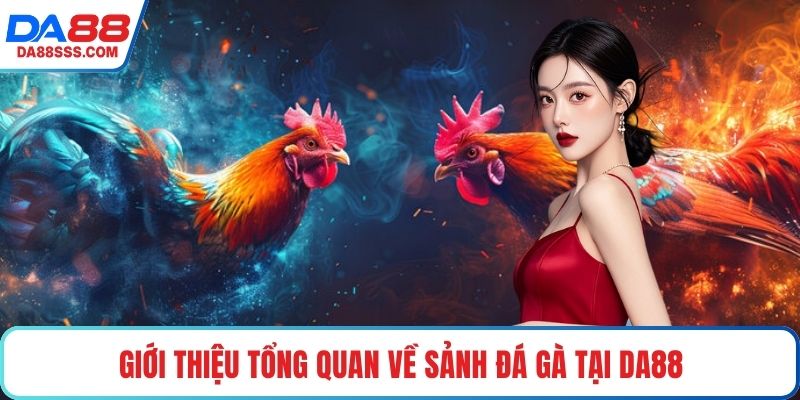 Giới thiệu tổng quan về sảnh đá gà tại DA88