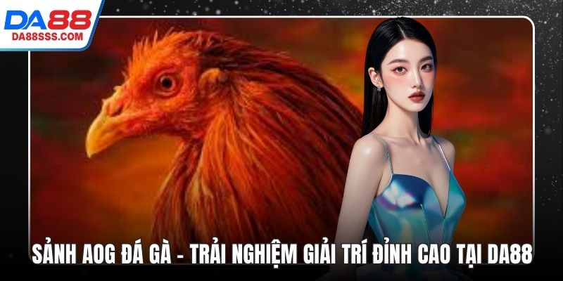 Sảnh AOG Đá Gà – Trải nghiệm giải trí đỉnh cao tại DA88