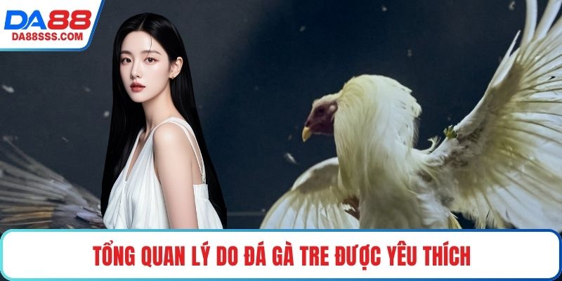 Tổng quan lý do đá gà tre được yêu thích
